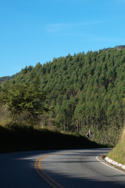 白天蓝天下山上的绿树
